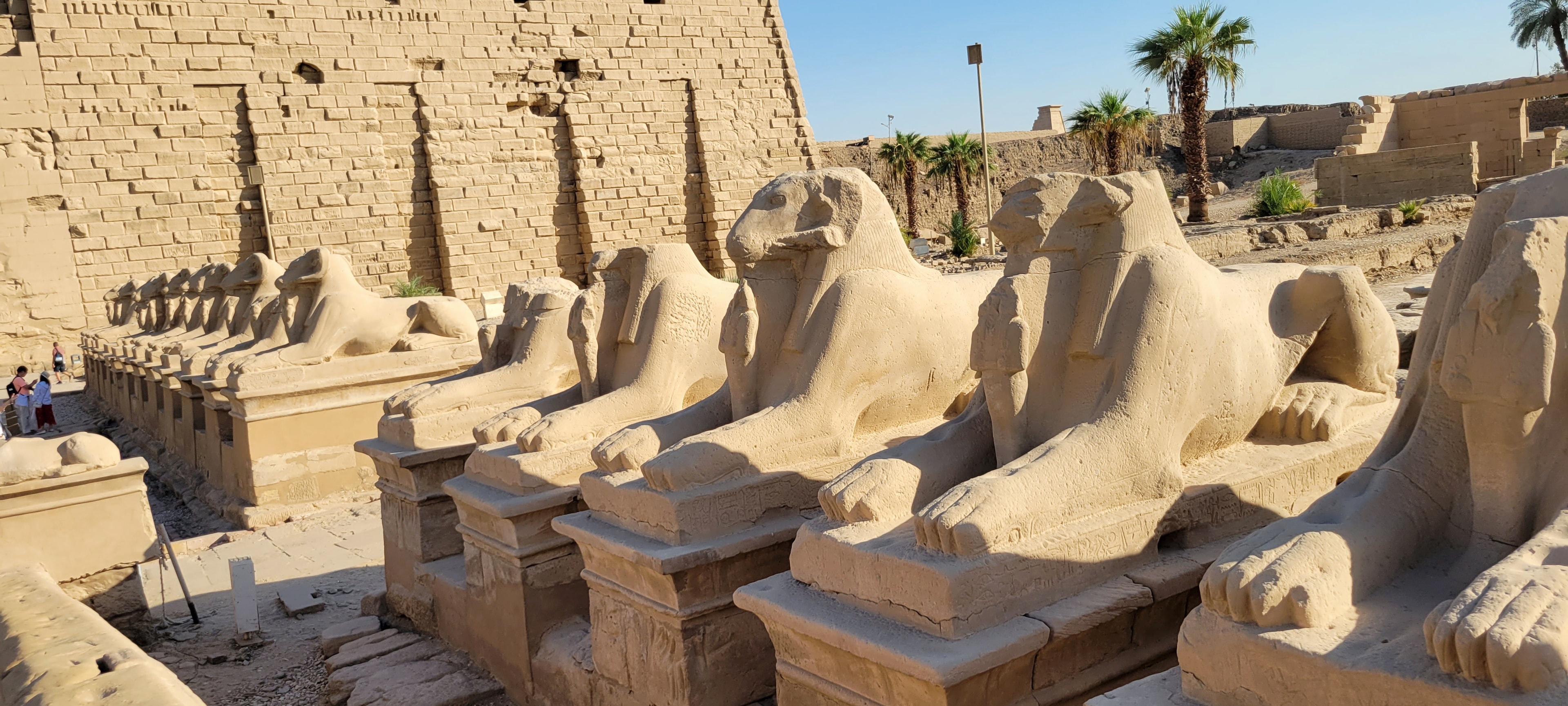 The Avenue of Ram-headed Sphinxes leading to the entrance of Karnak Temple in Luxor