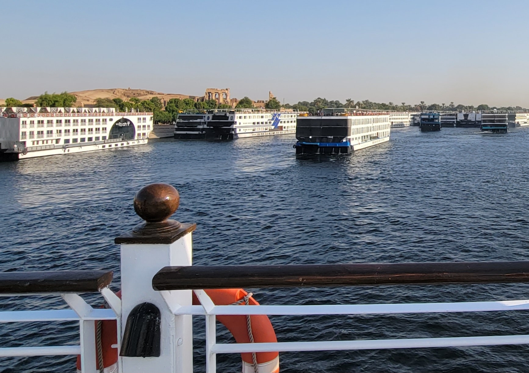 A fleet of Nile cruise ships sailing the river between lush green banks